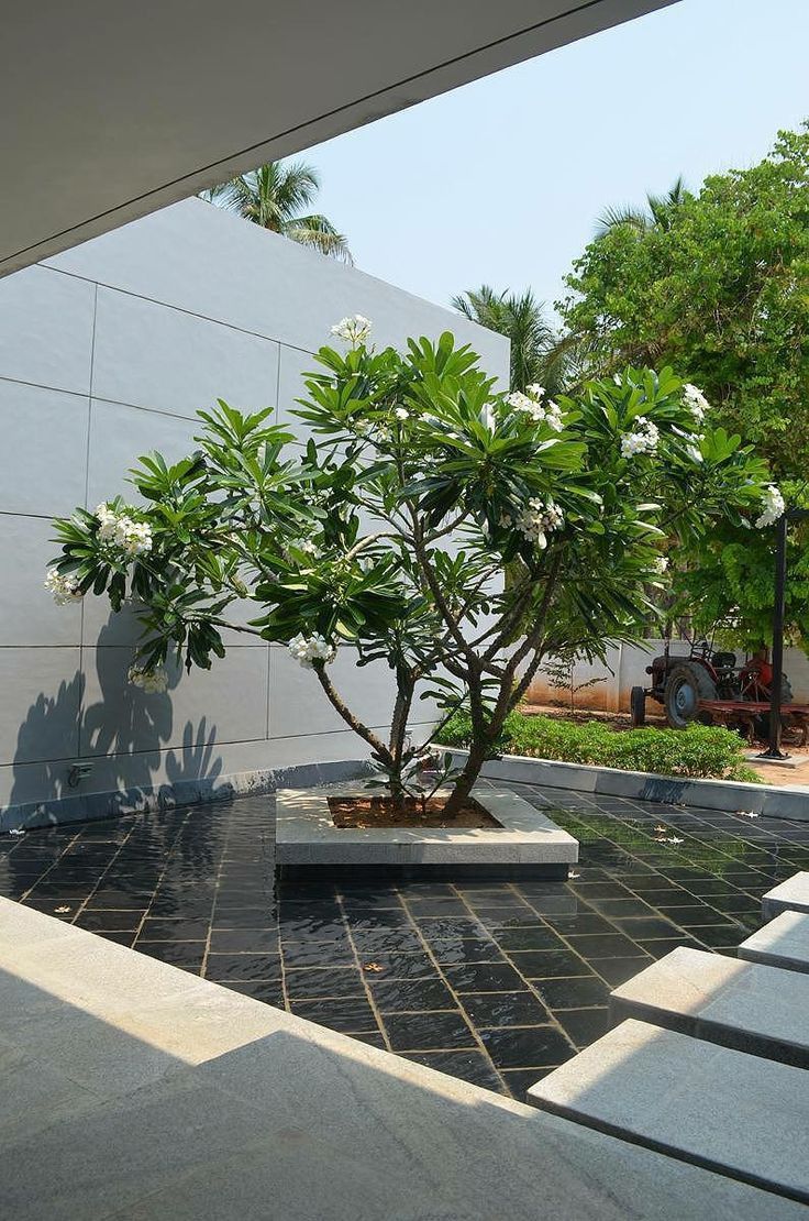 Đá lát sân vườn biệt thự