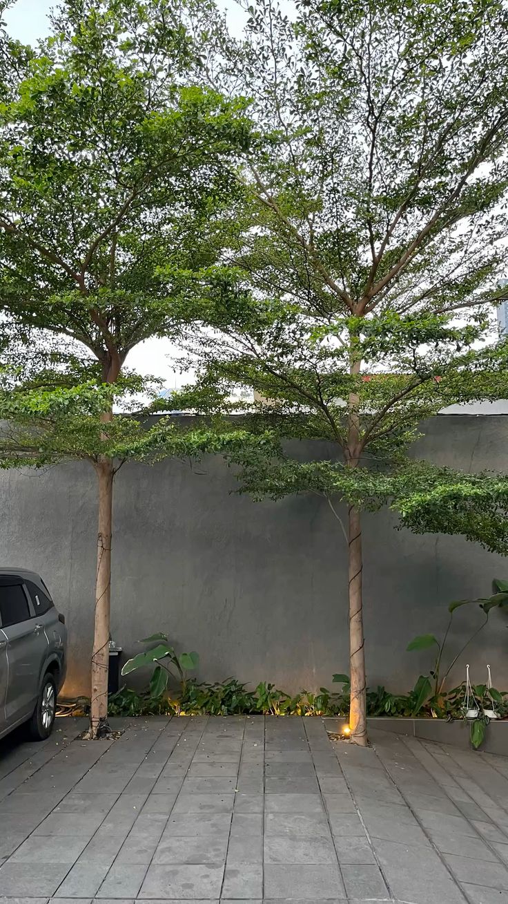 Đá lát sân vườn biệt thự